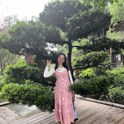 Vitheavy in China