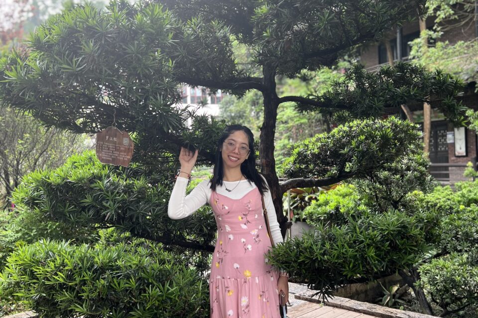 Vitheavy in China